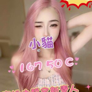 小貓
